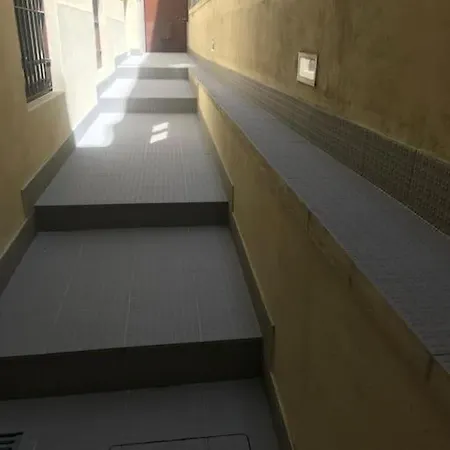 Torrinha's Backyard 波尔图